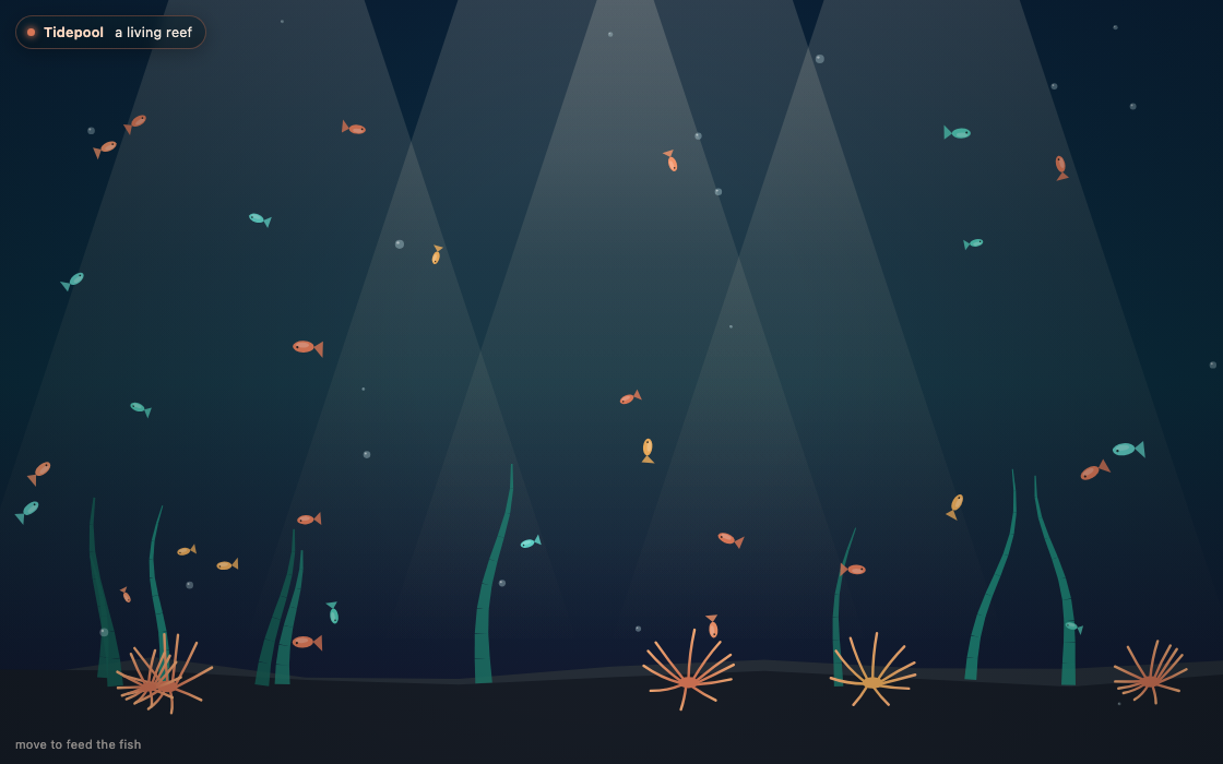 Tidepool — a living reef
